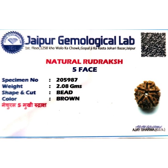 5 Mukhi Nepal Rudraksha – Genuine Panchmukhi Bead with Lab Certificate 5 Mukhi Nepal Rudraksha – Genuine Panchmukhi Bead with Lab Certificate